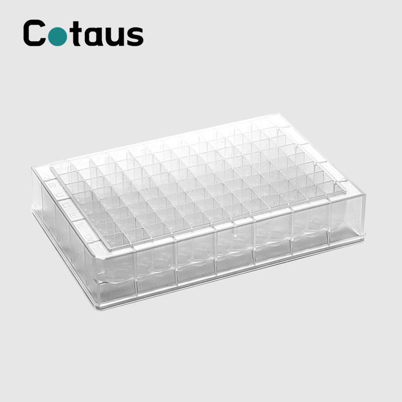 ​Sự kỳ diệu của Axit Nucleic: Cách DNA lưu trữ thông tin di truyền cơ bản của sự sống