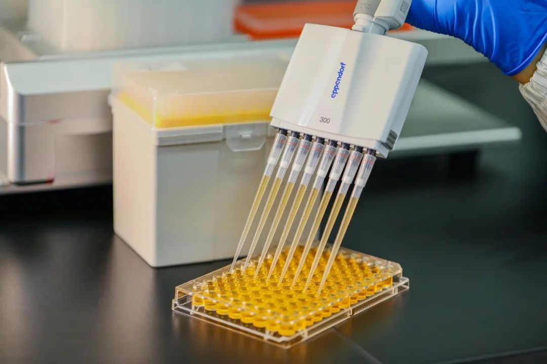 Đầu tip pipet phù hợp với bạn là gì?