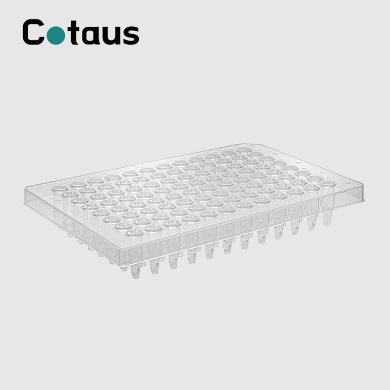 Tấm PCR nửa váy trong suốt 96 giếng 0,2ml