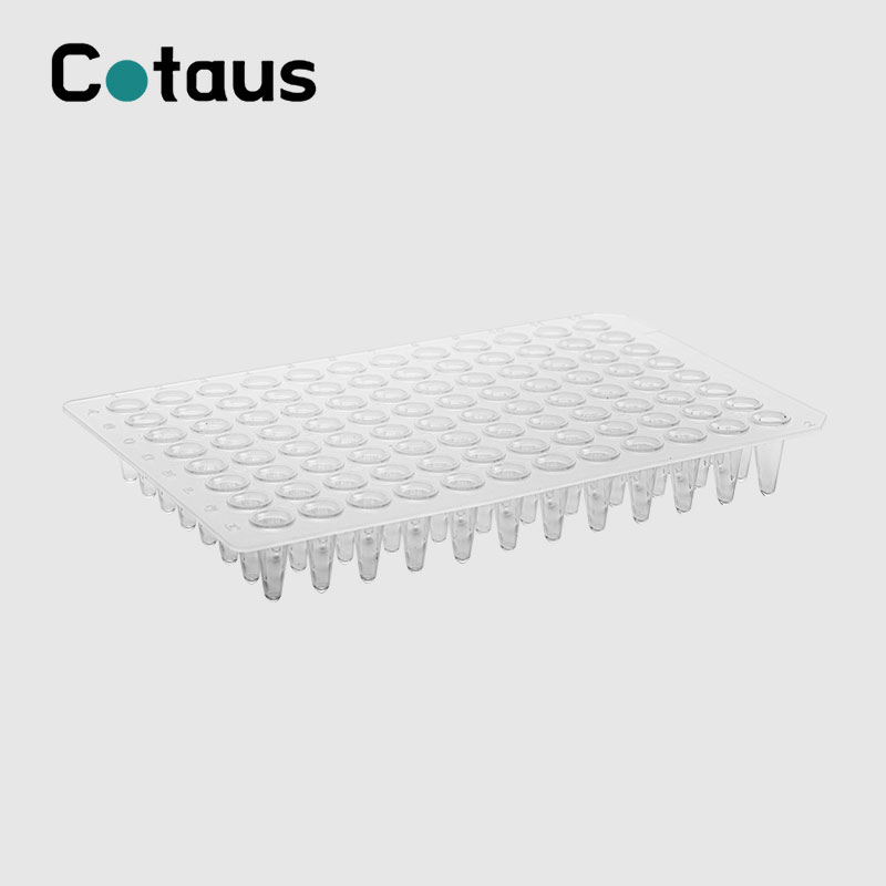 Đĩa PCR trong suốt 96 giếng 0,1ml