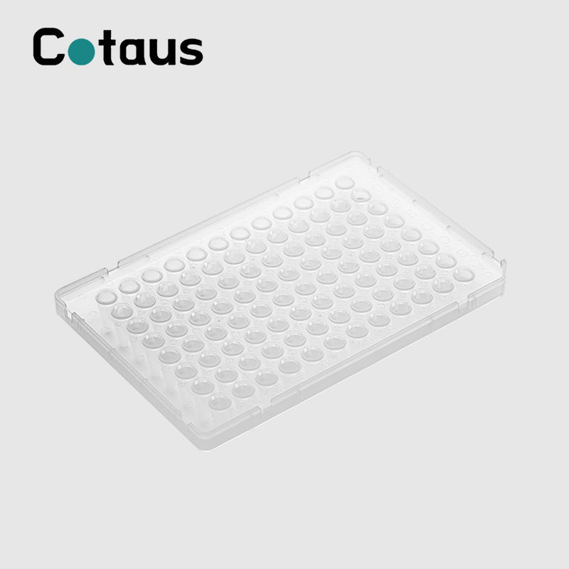 96 Well 0.1ml White Skirt PCR Plate